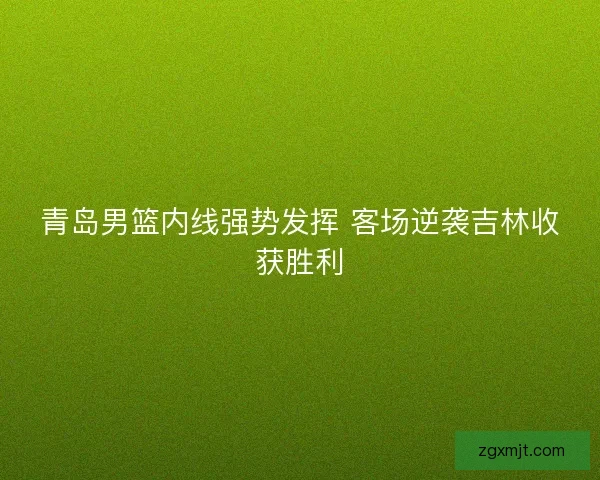 青岛男篮内线强势发挥 客场逆袭吉林收获胜利
